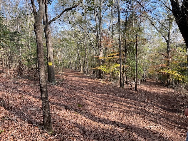 0 Dickson Dr, Danielsville, GA 30633