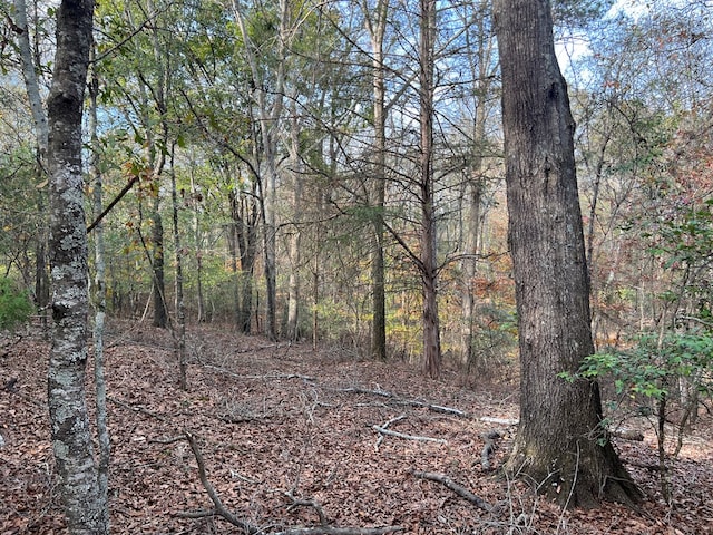 0 Dickson Dr, Danielsville, GA 30633