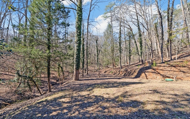view of landscape