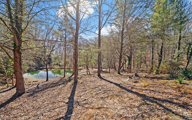 view of yard featuring a forest view