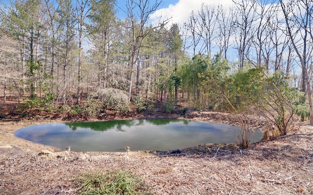 view of water feature with a forest view