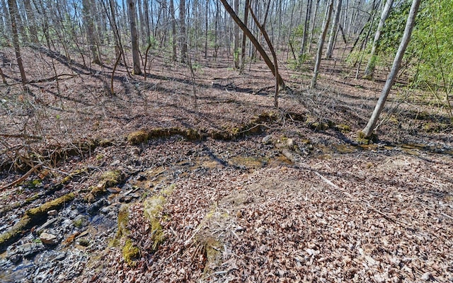 view of nature featuring a wooded view