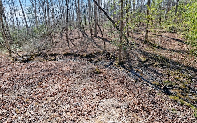 view of landscape with a wooded view