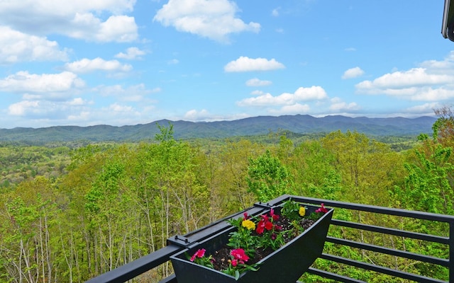 433 Hawkeye Trl, Marble, NC 28905 - property view of mountains with a forest view