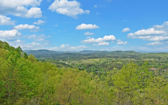 433 Hawkeye Trl, Marble, NC 28905 - mountain view featuring a view of trees