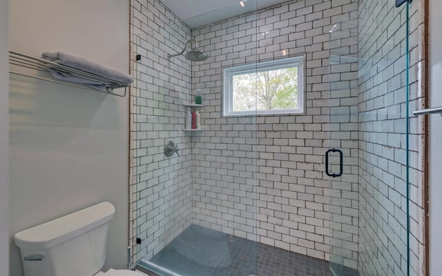 433 Hawkeye Trl, Marble, NC 28905 - full bathroom with a shower stall and toilet