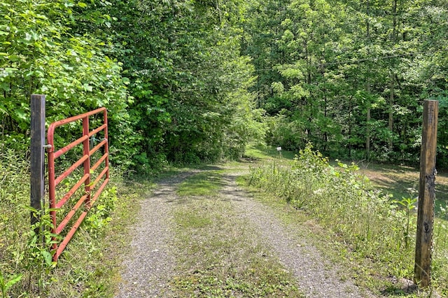 view of road