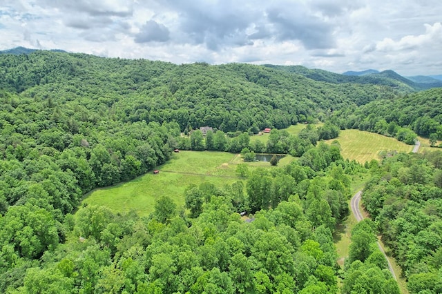 aerial view with a mountain view