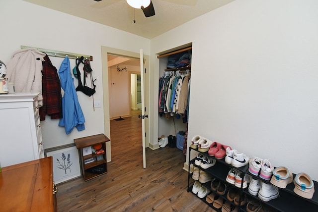 mudroom featuring dark hardwood / wood-style floors and ceiling fan