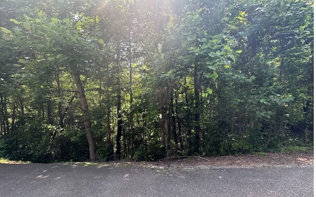 Listing photo 2 for LOT6 Ovaline Trl, Ellijay GA 30536