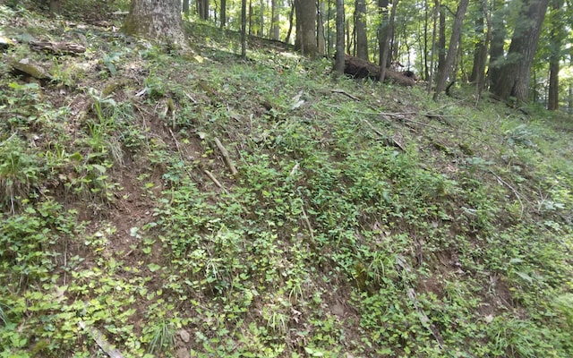 M213 Walnut Rdg, Ellijay, GA 30536