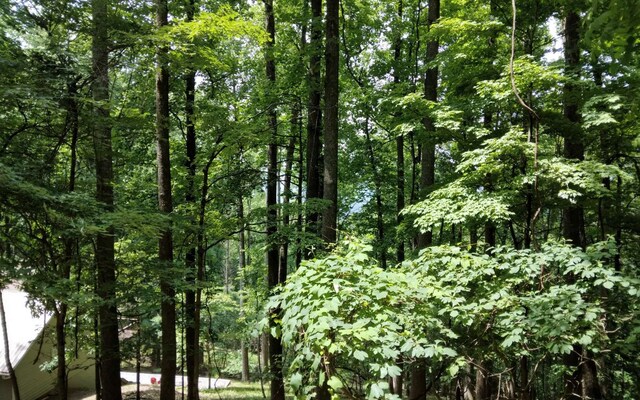 Listing photo 2 for M213 Walnut Rdg, Ellijay GA 30536