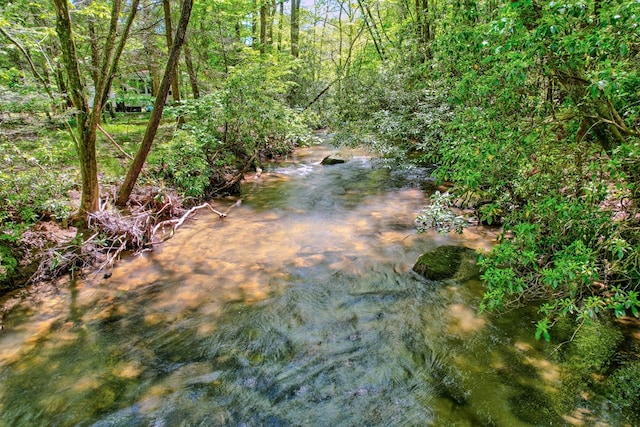 56 Laurel Dr, Blue Ridge, GA 30513 - view of yard