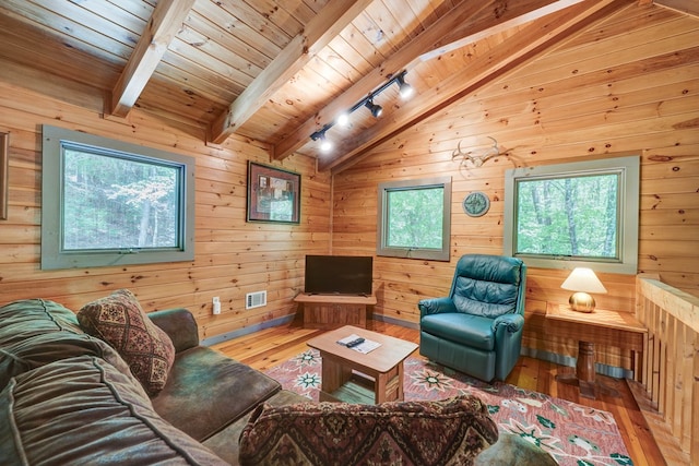 56 Laurel Dr, Blue Ridge, GA 30513 - living area featuring hardwood / wood-style floors, track lighting, healthy amount of natural light, wood walls, and wood ceiling