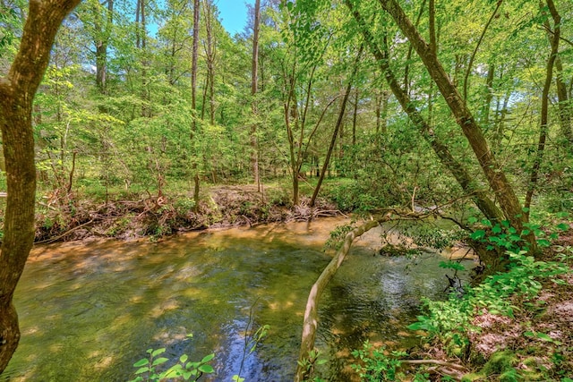 56 Laurel Dr, Blue Ridge, GA 30513 - water view