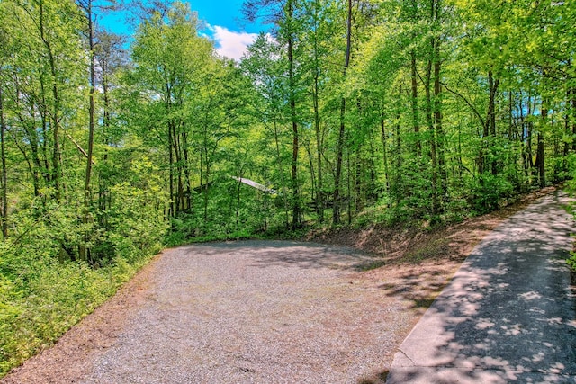 56 Laurel Dr, Blue Ridge, GA 30513 - view of street with a forest view