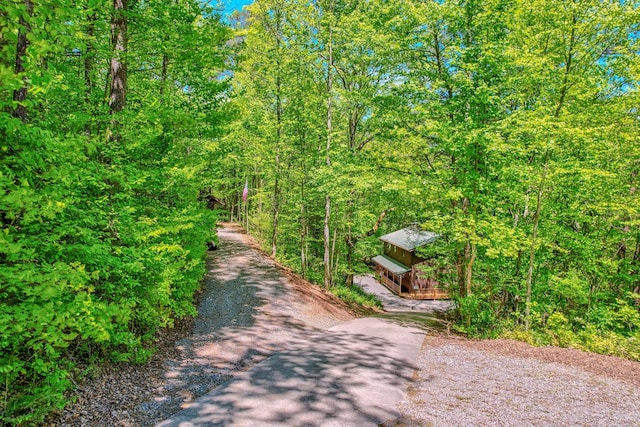56 Laurel Dr, Blue Ridge, GA 30513 - view of road