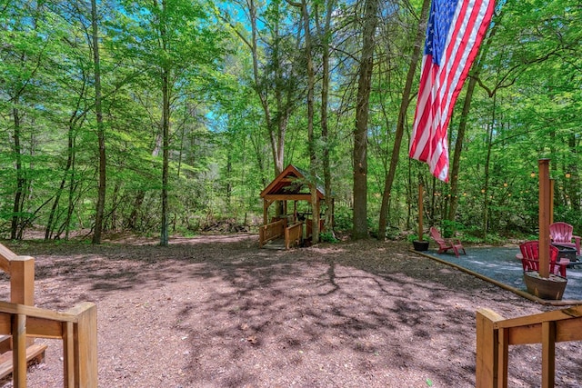 56 Laurel Dr, Blue Ridge, GA 30513 - view of yard with a playground