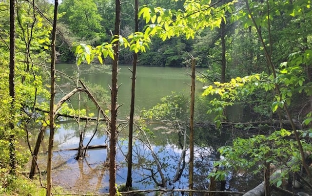 Listing photo 2 for LOT358 Waleska Ln, Ellijay GA 30540