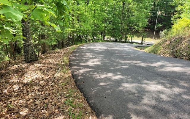 Listing photo 3 for LOT358 Waleska Ln, Ellijay GA 30540