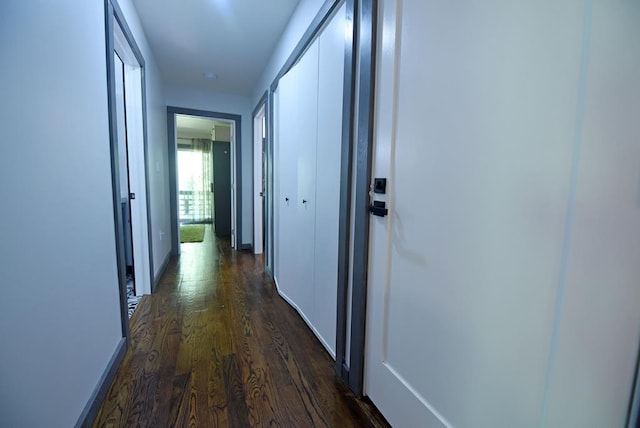 corridor with dark hardwood / wood-style floors