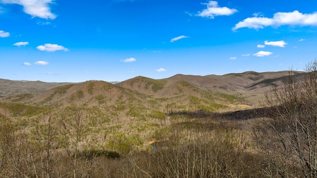 view of mountain feature