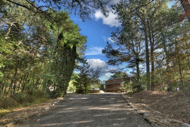 view of road with curbs and driveway