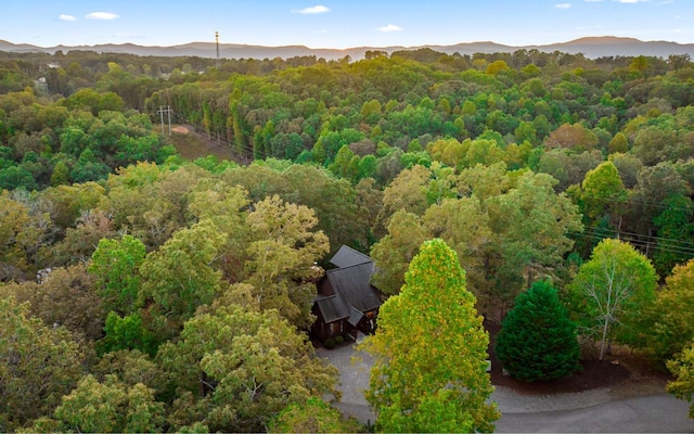 bird's eye view featuring a mountain view