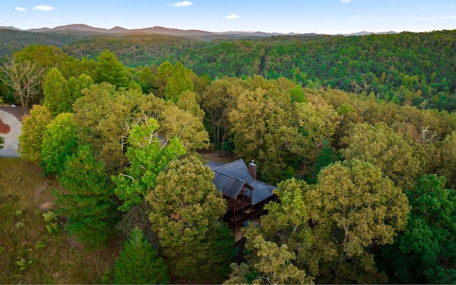 bird's eye view with a mountain view