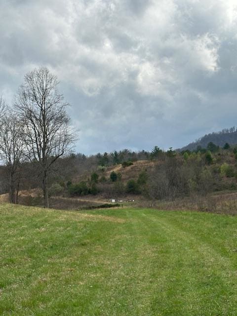 view of yard featuring a rural view