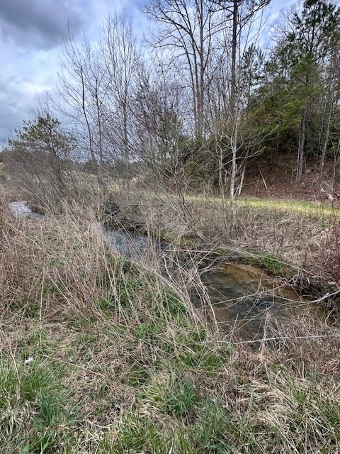 view of nature