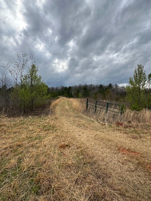 view of nature