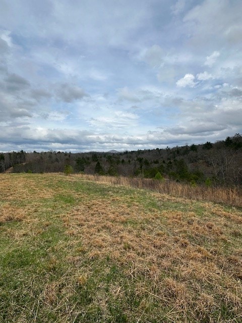 view of nature with a rural view