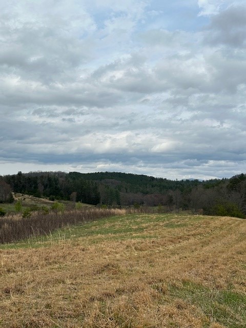 view of nature with a rural view