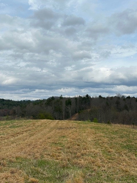 view of local wilderness with a rural view