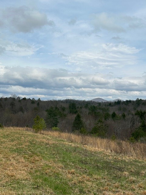 view of landscape featuring a rural view