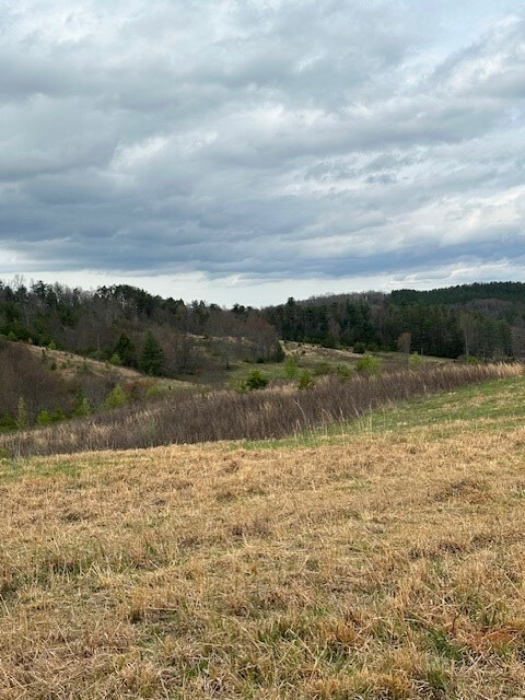 view of landscape featuring a rural view