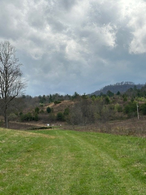 view of yard featuring a rural view