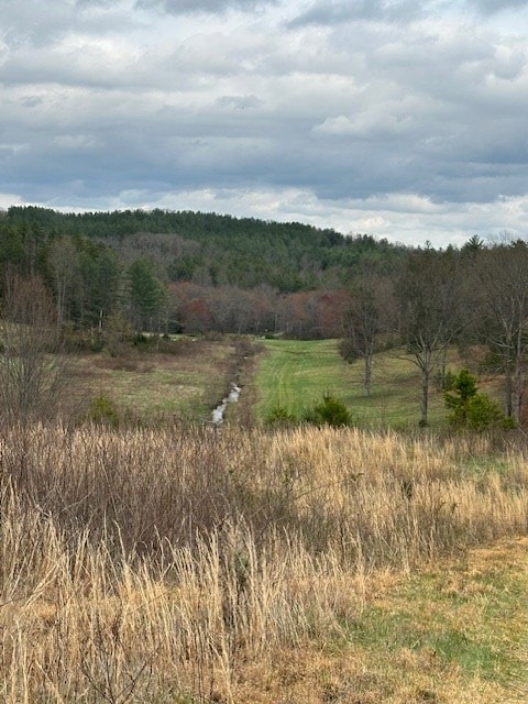view of nature with a rural view