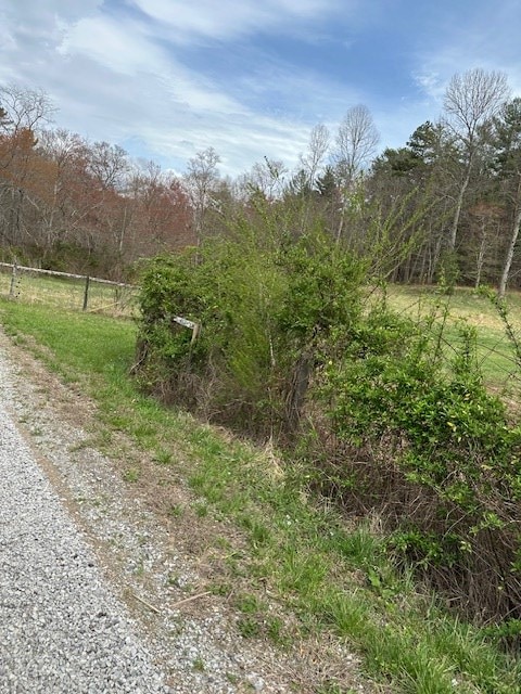 view of road with a view of trees