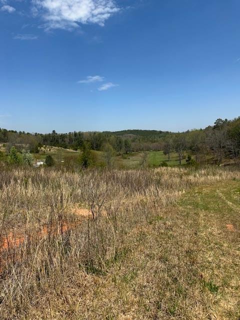 view of nature with a rural view