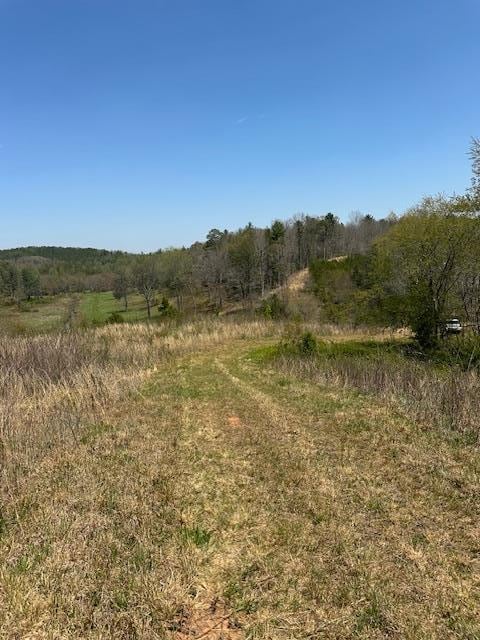 view of local wilderness featuring a rural view