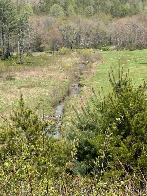 view of nature