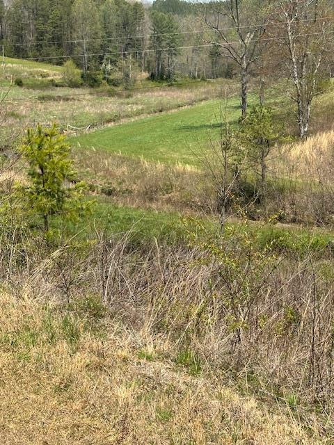 view of nature