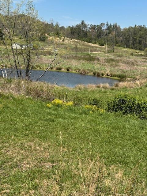 view of water feature