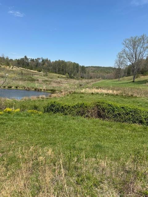 view of yard with a rural view
