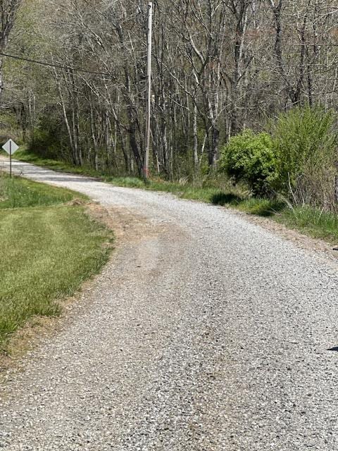 view of street featuring a forest view