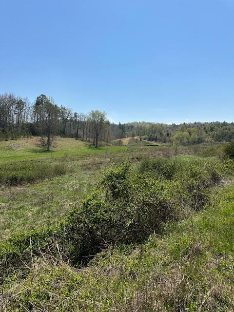 view of nature featuring a rural view