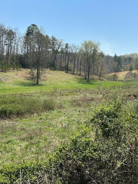 view of local wilderness with a rural view and a wooded view