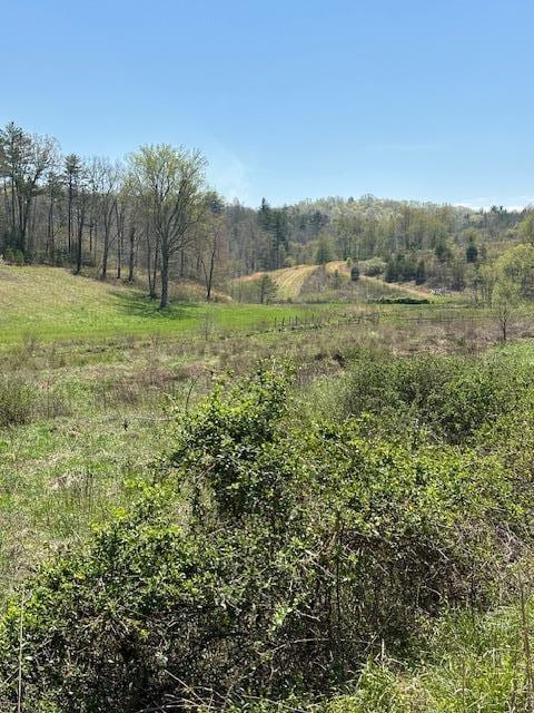 view of landscape featuring a rural view and a wooded view